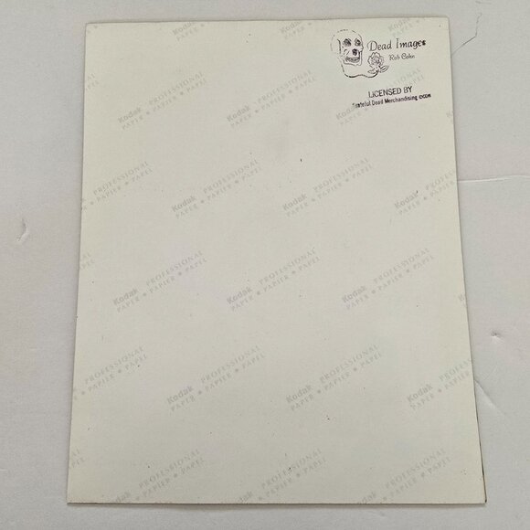 Grateful Dead Licensed Photo Print By Rob Cohn Bassist Phil Lesh Glossy Kodak Pa - Picture 12 of 12